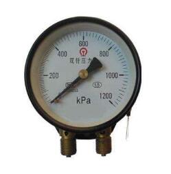 YZS-102 Double pointer pressure gauge